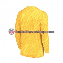 Miehet Ranska Maalivahdin Euro 2024 Keltainen Pitkähihainen Fanipaita ,Koti