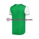 Hibernian Home Football Shirts 2024-2025 Gentleman Short Sleeves