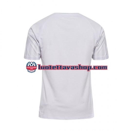 Miehet Tanska World Cup 2022 Lyhythihainen Fanipaita ,Vieras