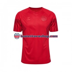 Miehet Tanska World Cup 2022 Lyhythihainen Fanipaita ,Koti