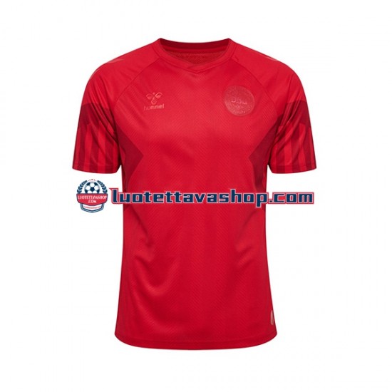 Miehet Tanska World Cup 2022 Lyhythihainen Fanipaita ,Koti