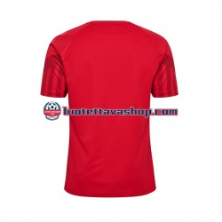 Miehet Tanska World Cup 2022 Lyhythihainen Fanipaita ,Koti