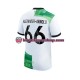 Miehet Liverpool Trent Alexander-Arnold 66 2023-2024 Lyhythihainen Fanipaita ,Vieras