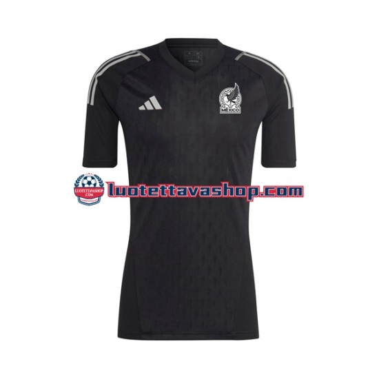 Miehet Meksiko Maalivahdin 2022 Lyhythihainen Fanipaita ,Koti