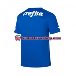 Miehet Palmeiras Maalivahdin 2023-2024 Lyhythihainen Fanipaita ,Koti