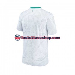 Miehet Saudi-Arabia World Cup 2022 Lyhythihainen Fanipaita ,Koti