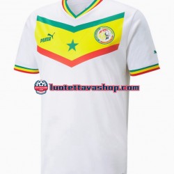 Miehet Senegal World Cup 2022 Lyhythihainen Fanipaita ,Koti