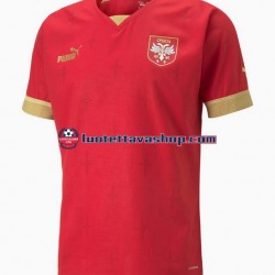 Miehet Serbia World Cup 2022 Lyhythihainen Fanipaita ,Koti