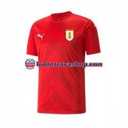 Miehet Uruguay Maalivahdin World Cup 2022 Lyhythihainen Fanipaita ,Koti