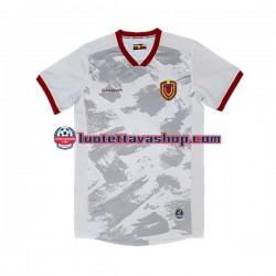 Miehet Venezuela 2023 Lyhythihainen Fanipaita ,Vieras