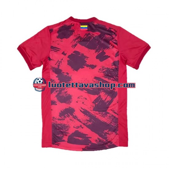 Miehet Venezuela 2023 Lyhythihainen Fanipaita ,Koti