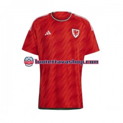 Miehet Wales World Cup 2022 Lyhythihainen Fanipaita ,Koti