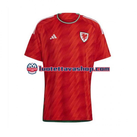 Miehet Wales World Cup 2022 Lyhythihainen Fanipaita ,Koti