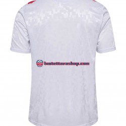 Miehet Tanska Euro 2024 Lyhythihainen Fanipaita ,Vieras