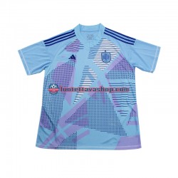 Miehet Espanja Maalivahdin Euro 2024 Sininen Lyhythihainen Fanipaita ,Vieras