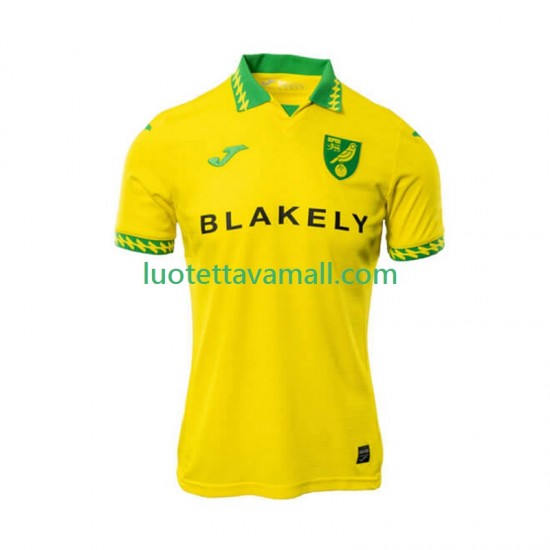 Miehet Norwich City 2025-2026 Lyhythihainen Fanipaita ,Koti