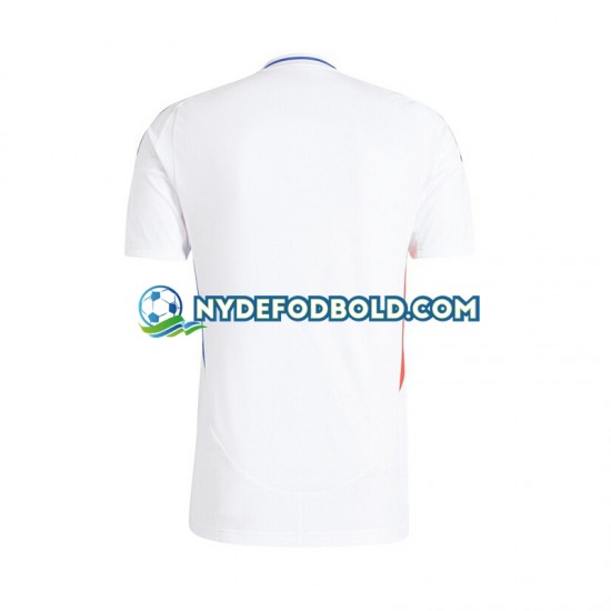 Miehet Olympique Lyonnais 2024-2025 Valkoinen Lyhythihainen Fanipaita ,Koti