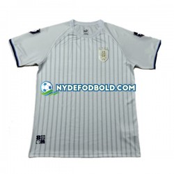 Miehet Uruguay Copa America 2024 Lyhythihainen Fanipaita ,Vieras