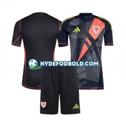 Lapset Wales Maalivahdin 2024 Musta Lyhythihainen Fanipaita ,Koti