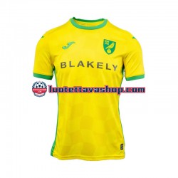 Miehet Norwich City 2024-2025 Lyhythihainen Fanipaita ,Koti